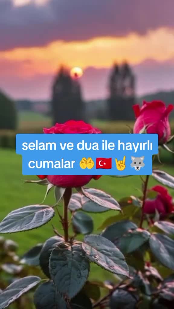 @Asena 1453