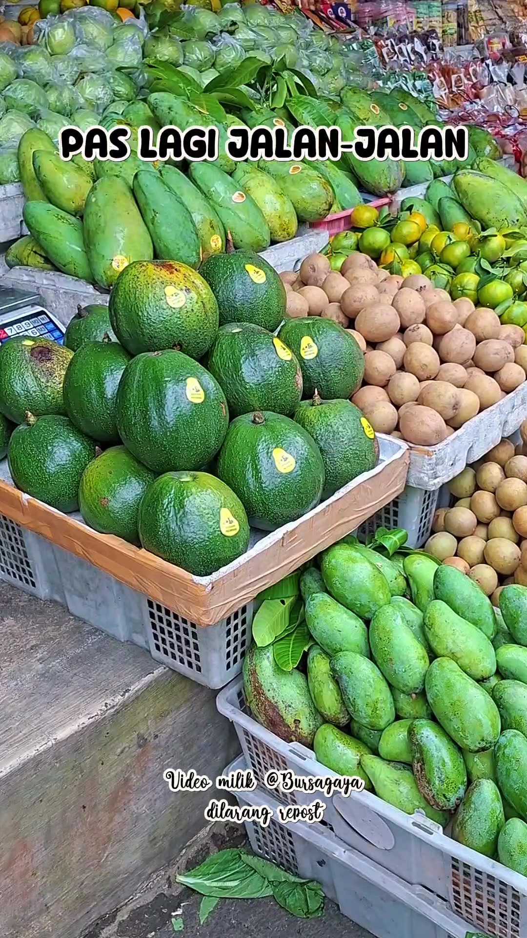 @bursagaya