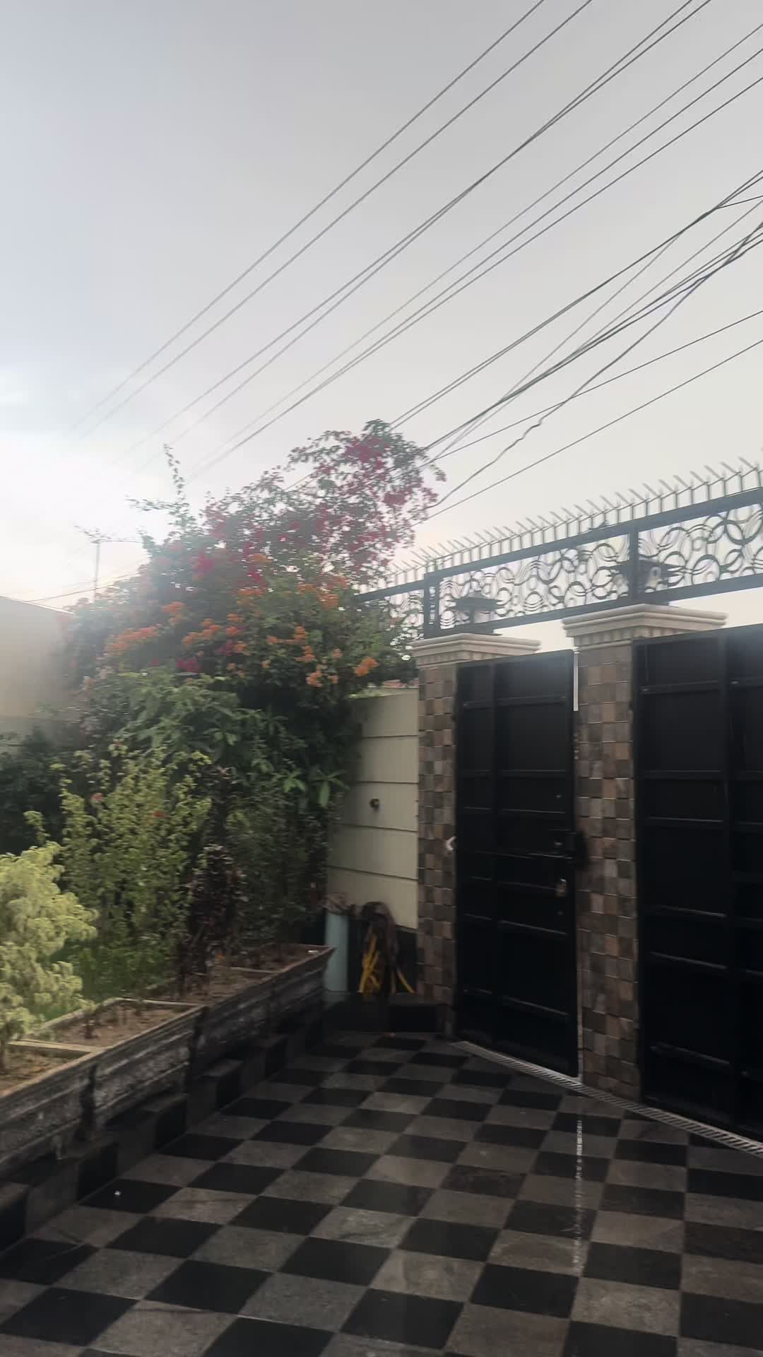 @Saba