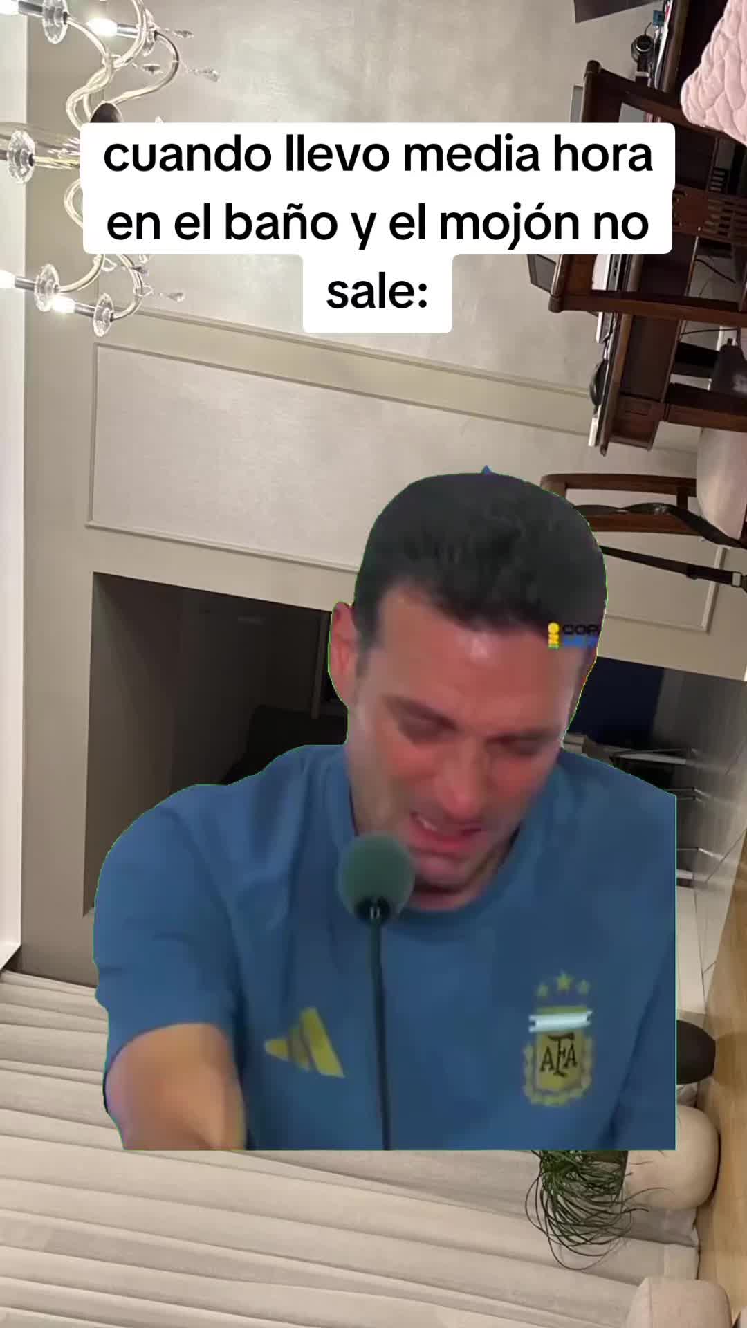 @Luis Carvajal240