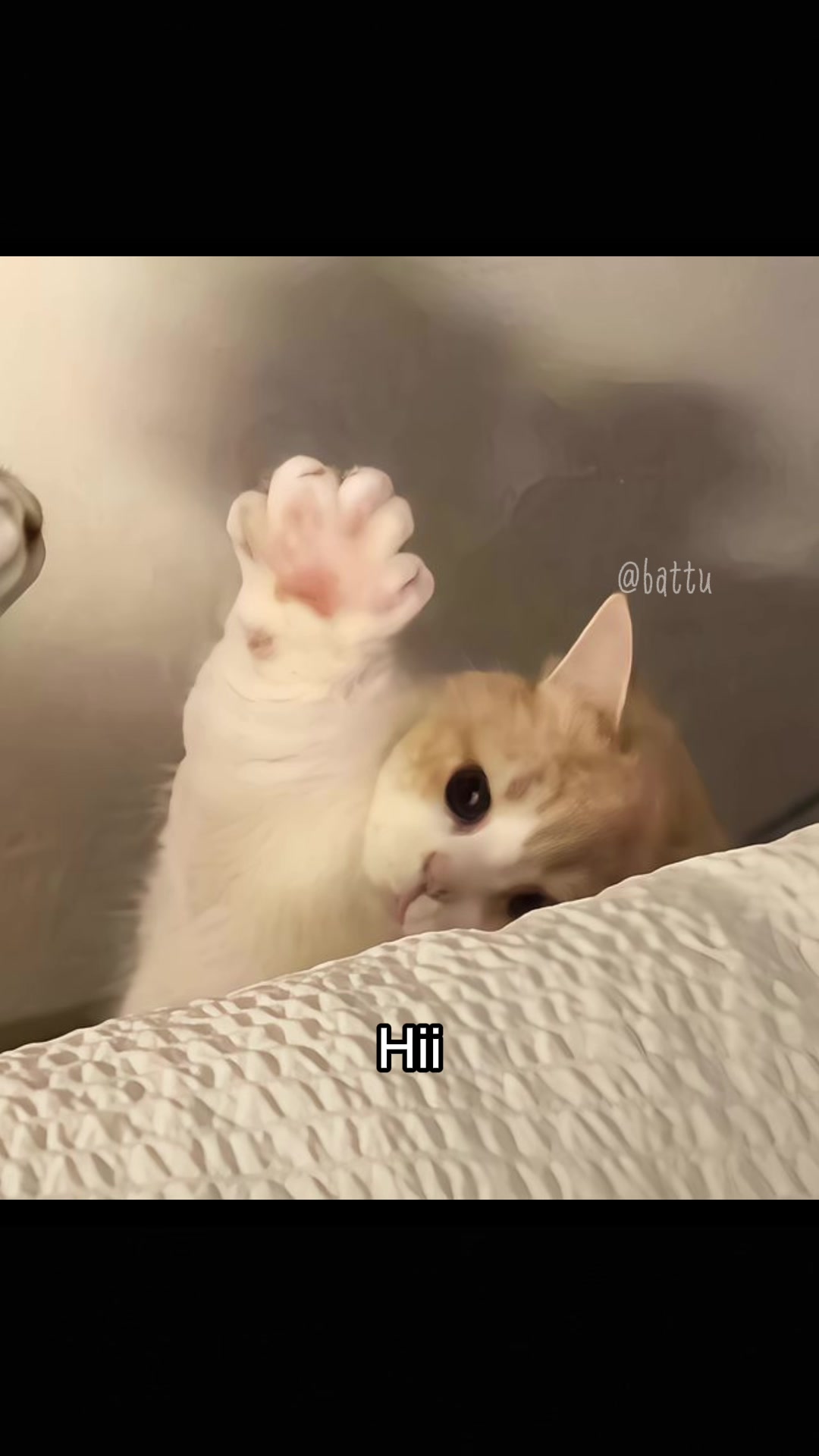 @Battu