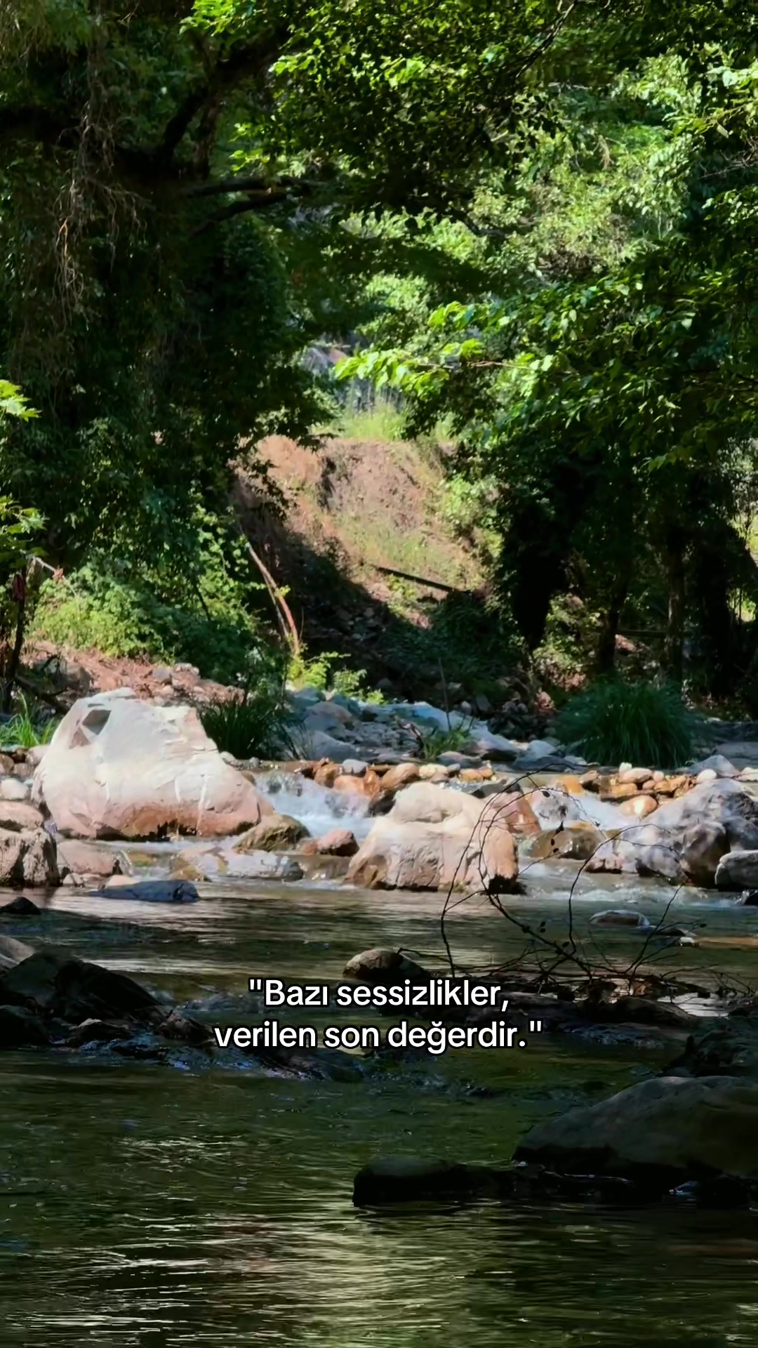 @isatuncer33