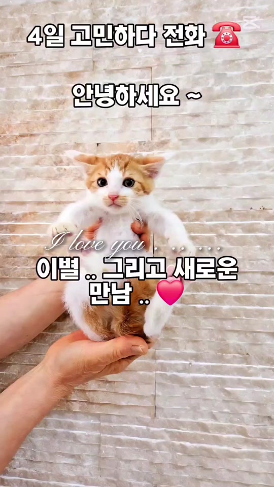 @๐ฉ์ด์์ฌ×234๐ฉ