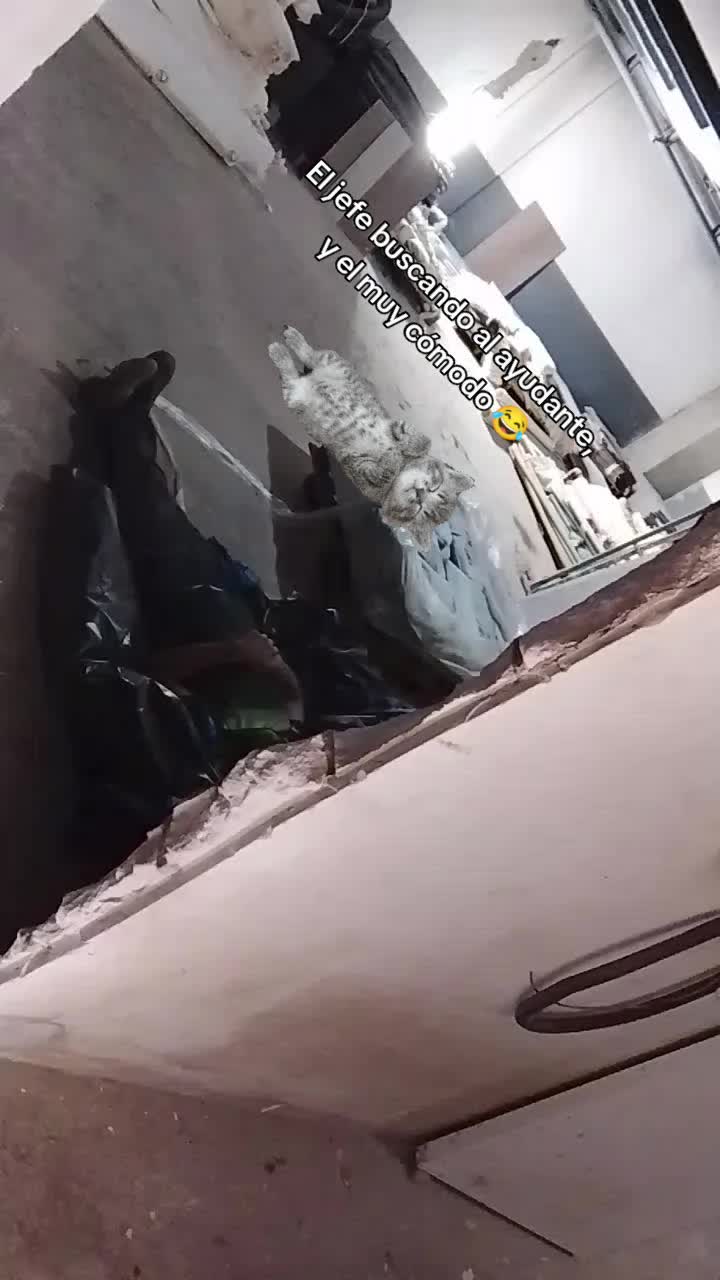 @๐