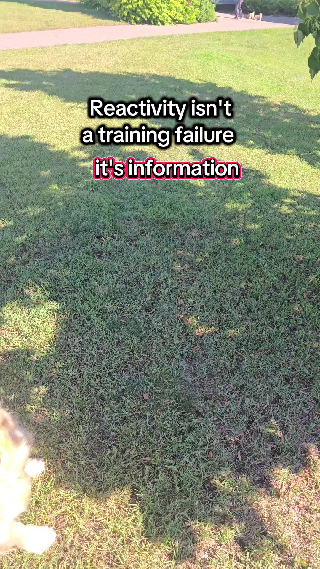 @Kairo's K9s Training 🇨🇦