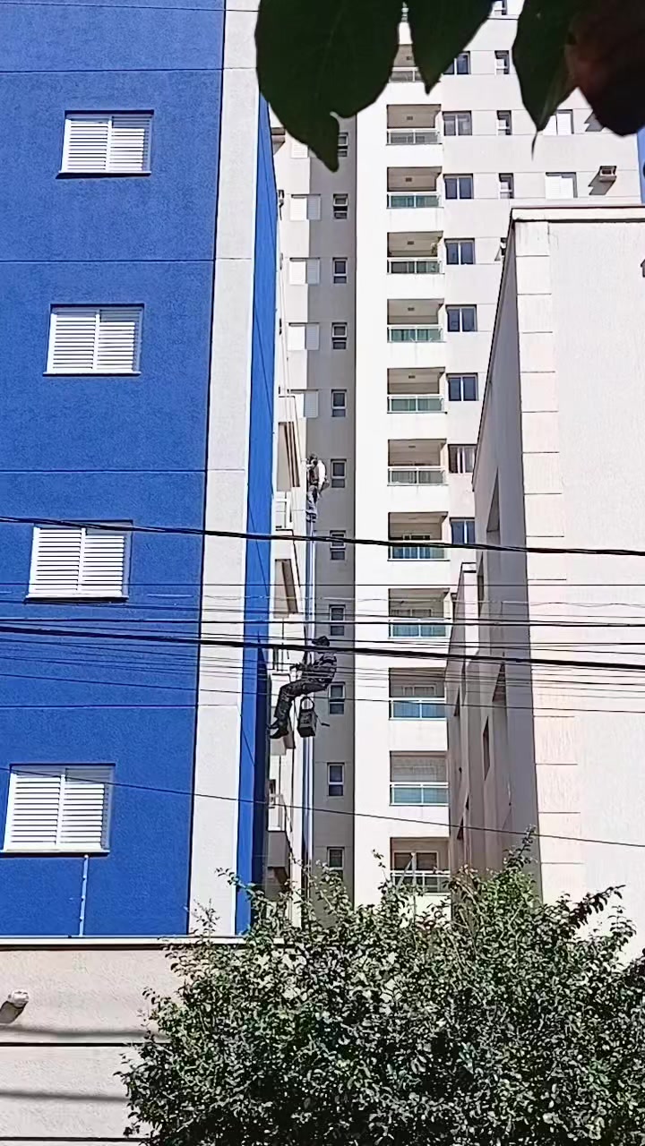 @Lu 🦋