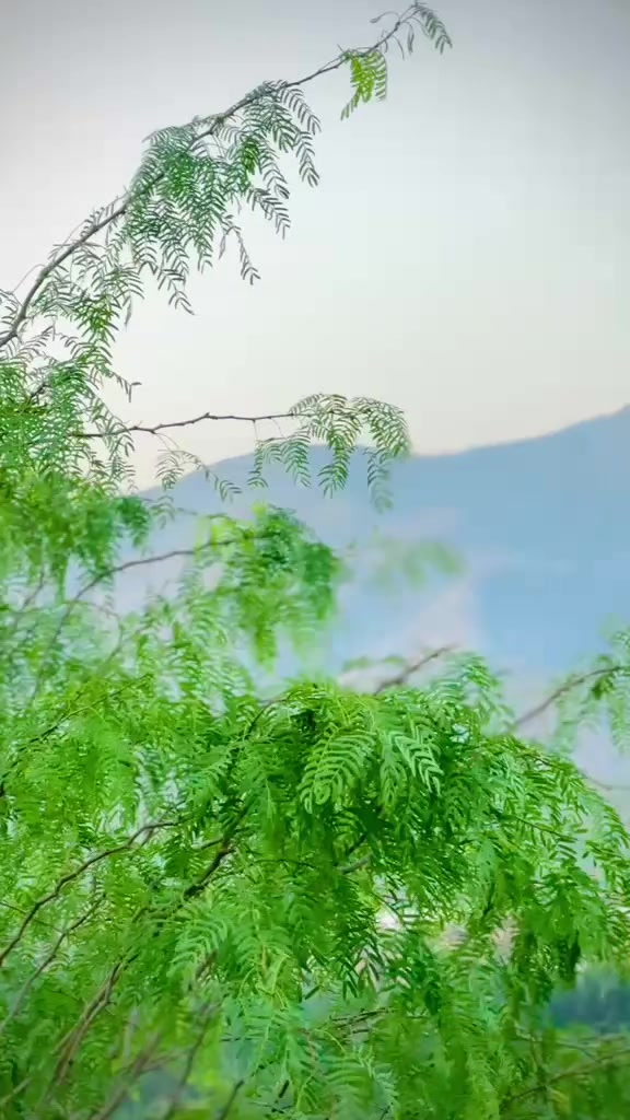 @😘 JANI 🇶🇦
