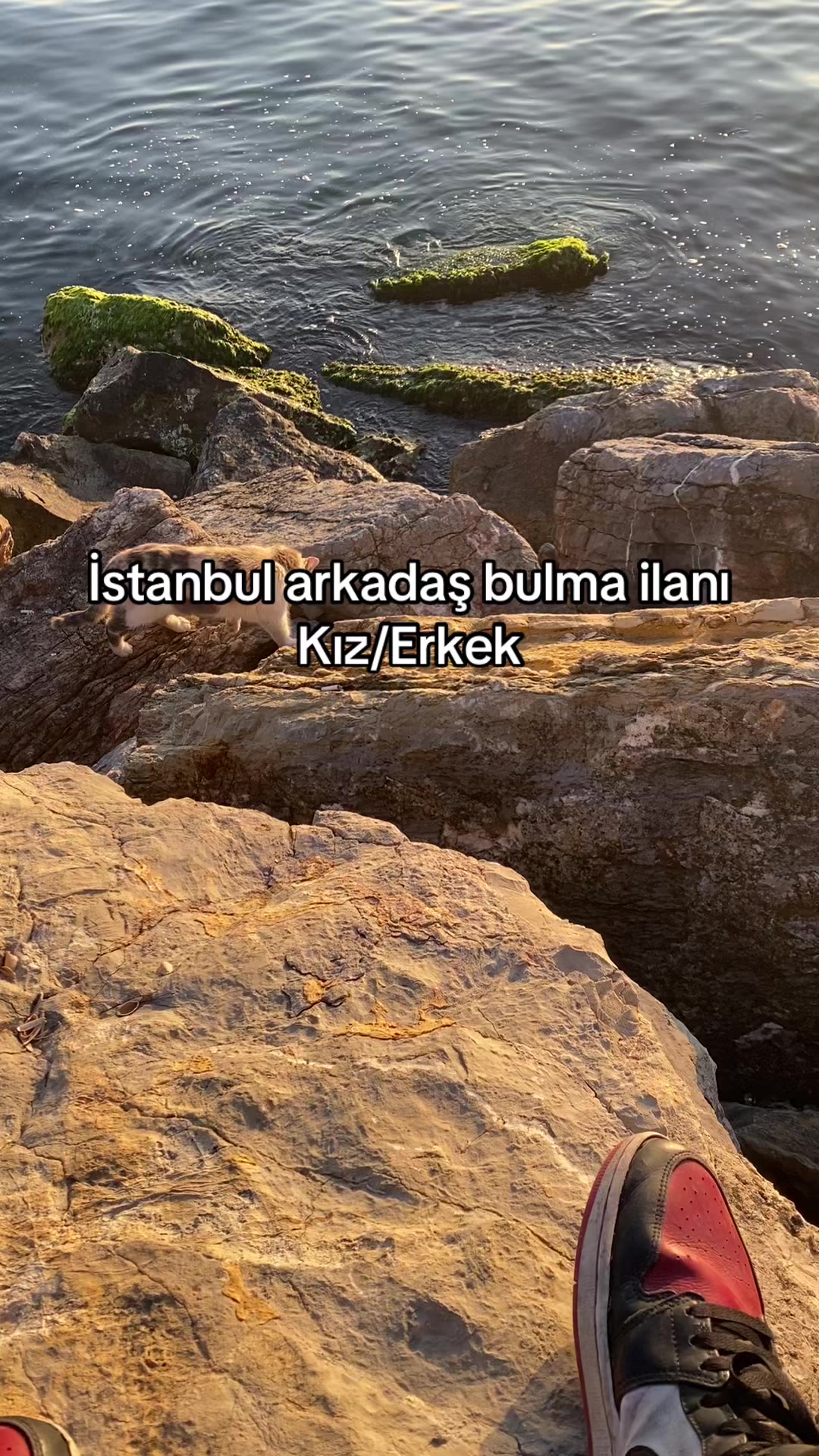 @Beyazzenci