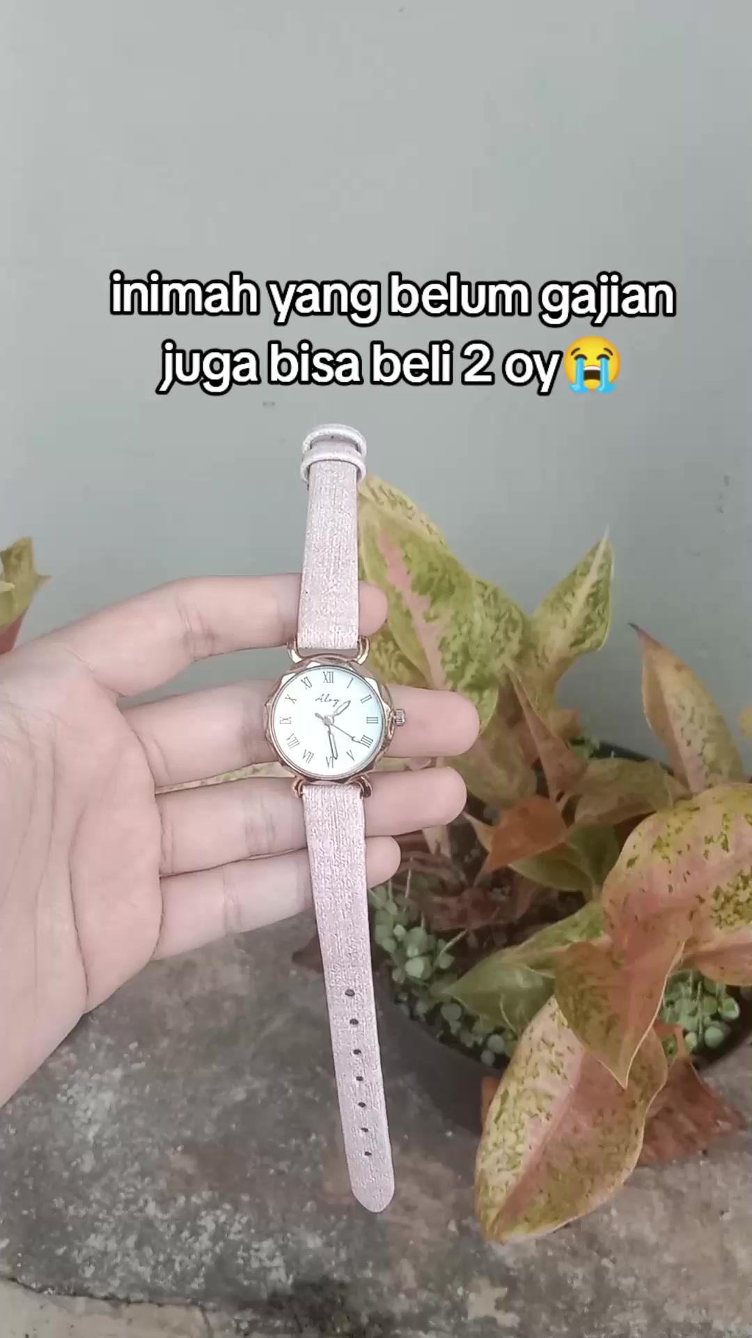 @S-tetik 🛒
