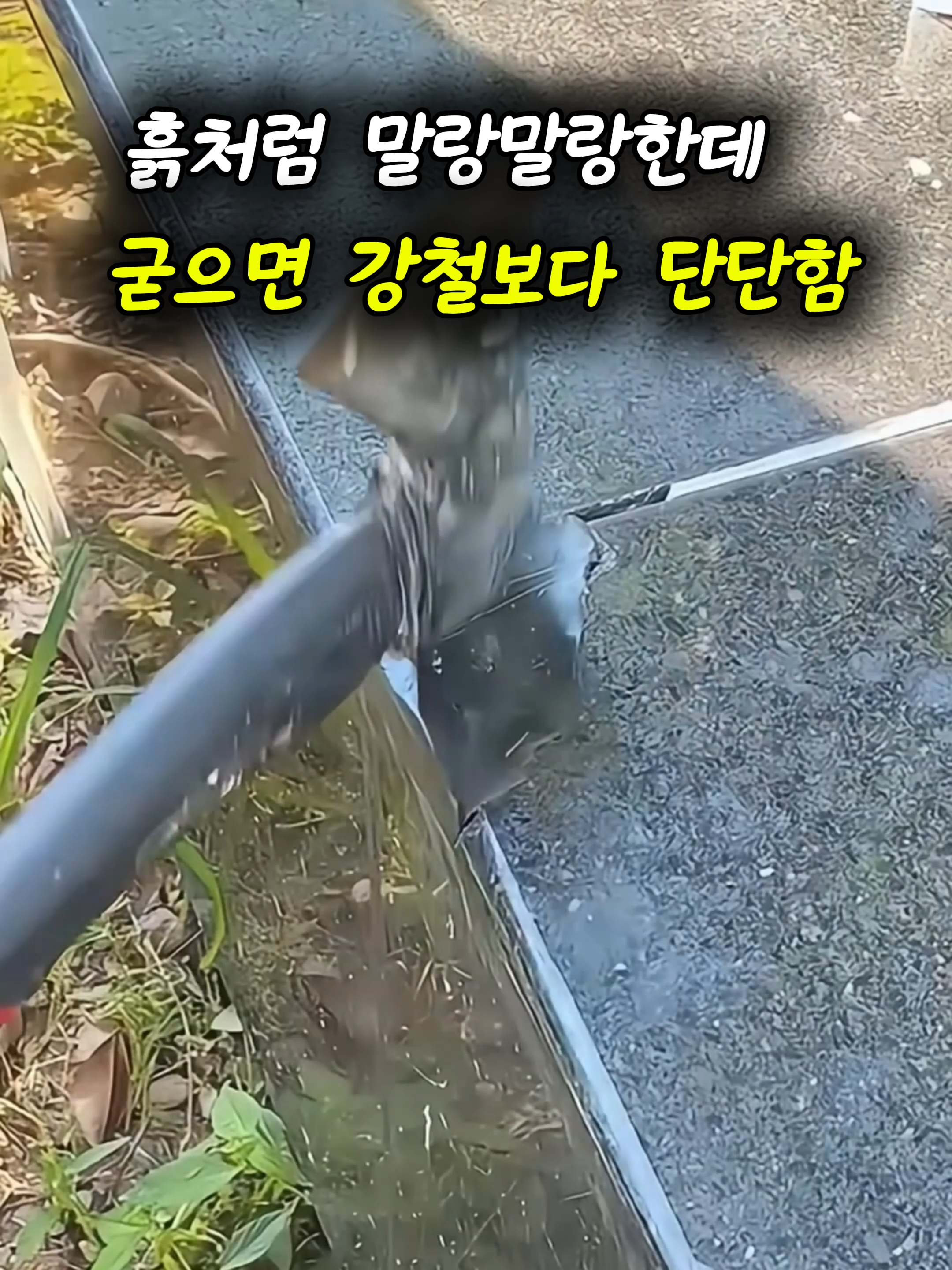 @부러쇼핑