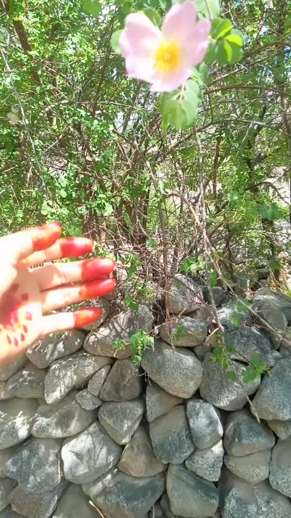 @yassi.jabeen