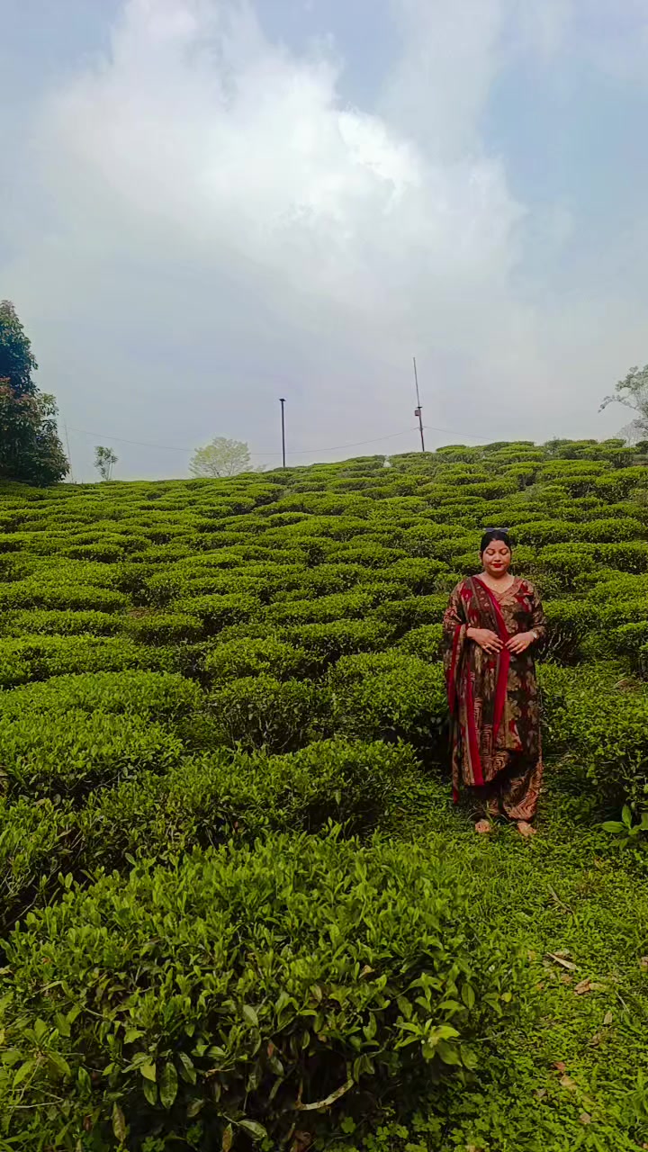 @pabitra 7
