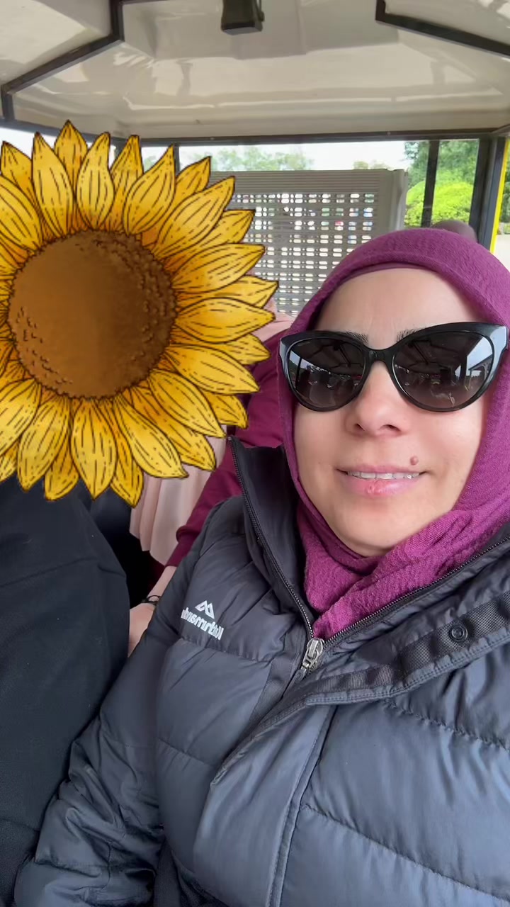 @Güliz Tunc Asil