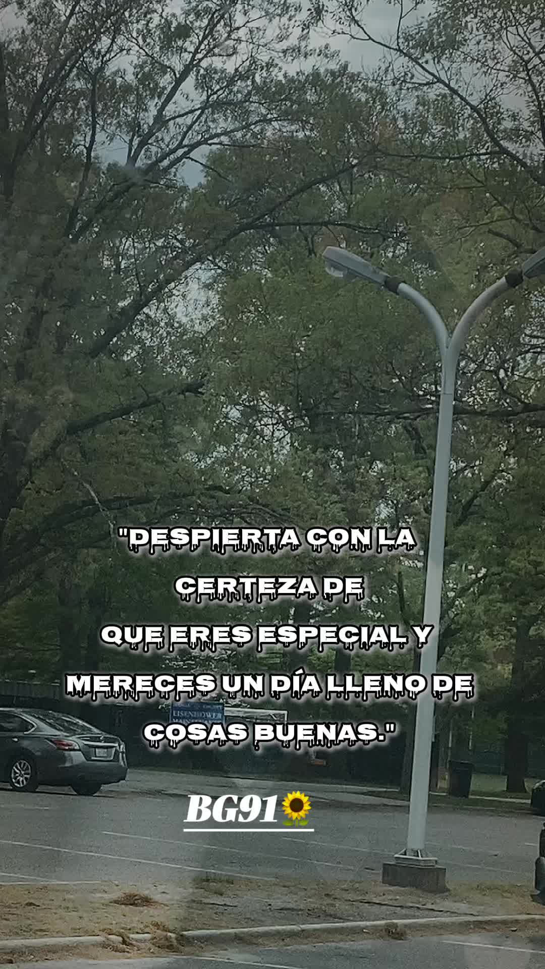 @💛Bonita_Girasol91