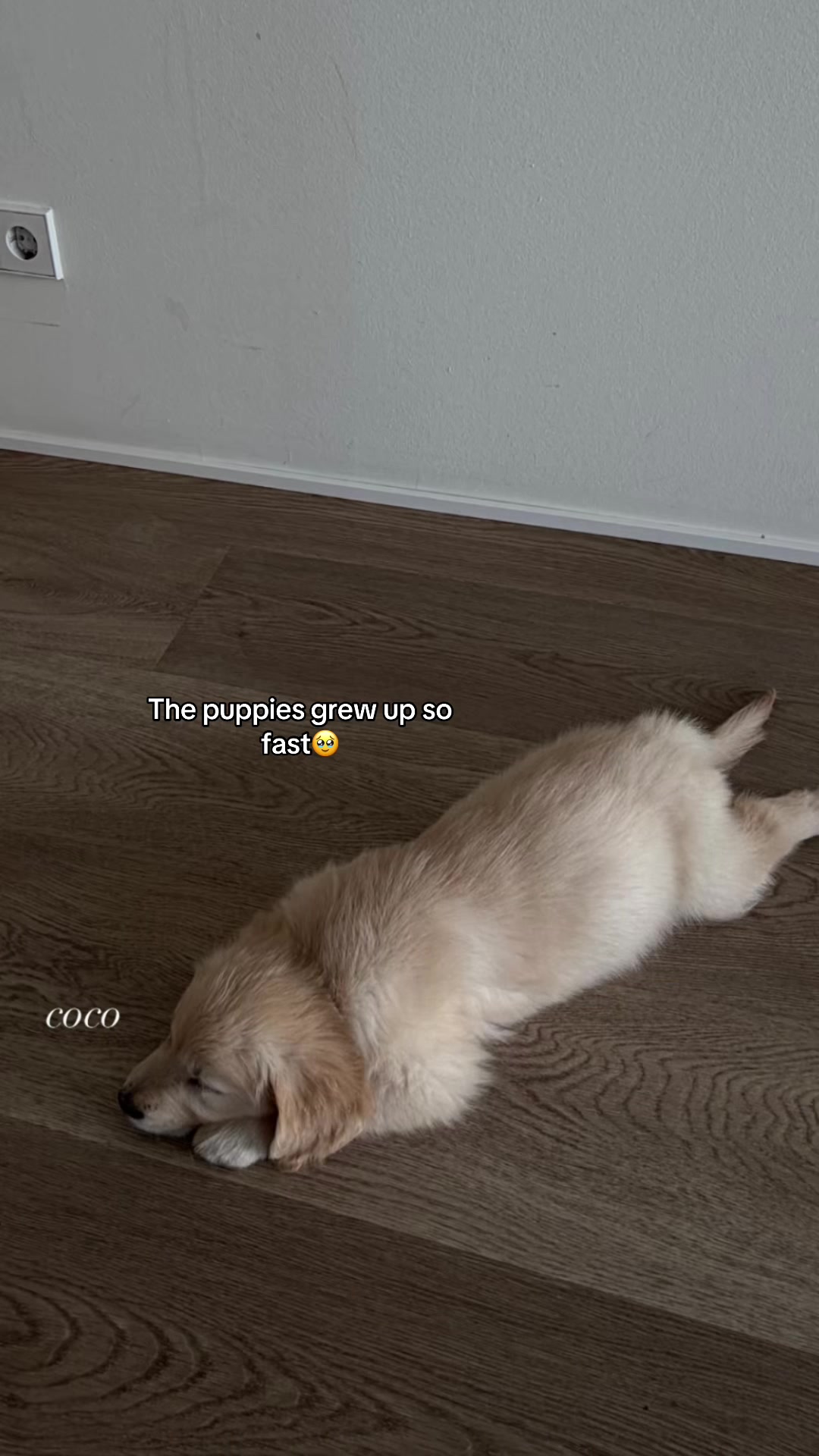 @𝒞𝑒𝓁𝒾𝒶𓍼