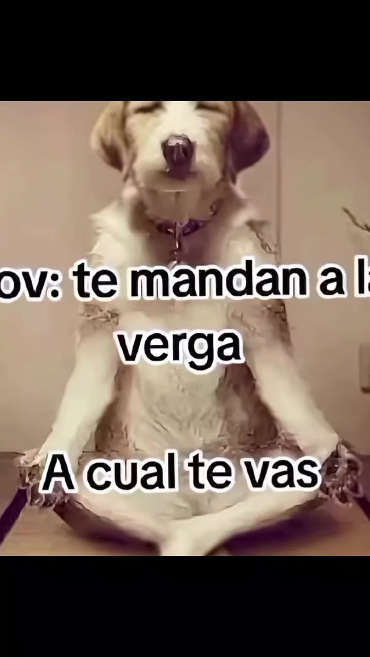 @Menú de 🤠🧔🏻♂️