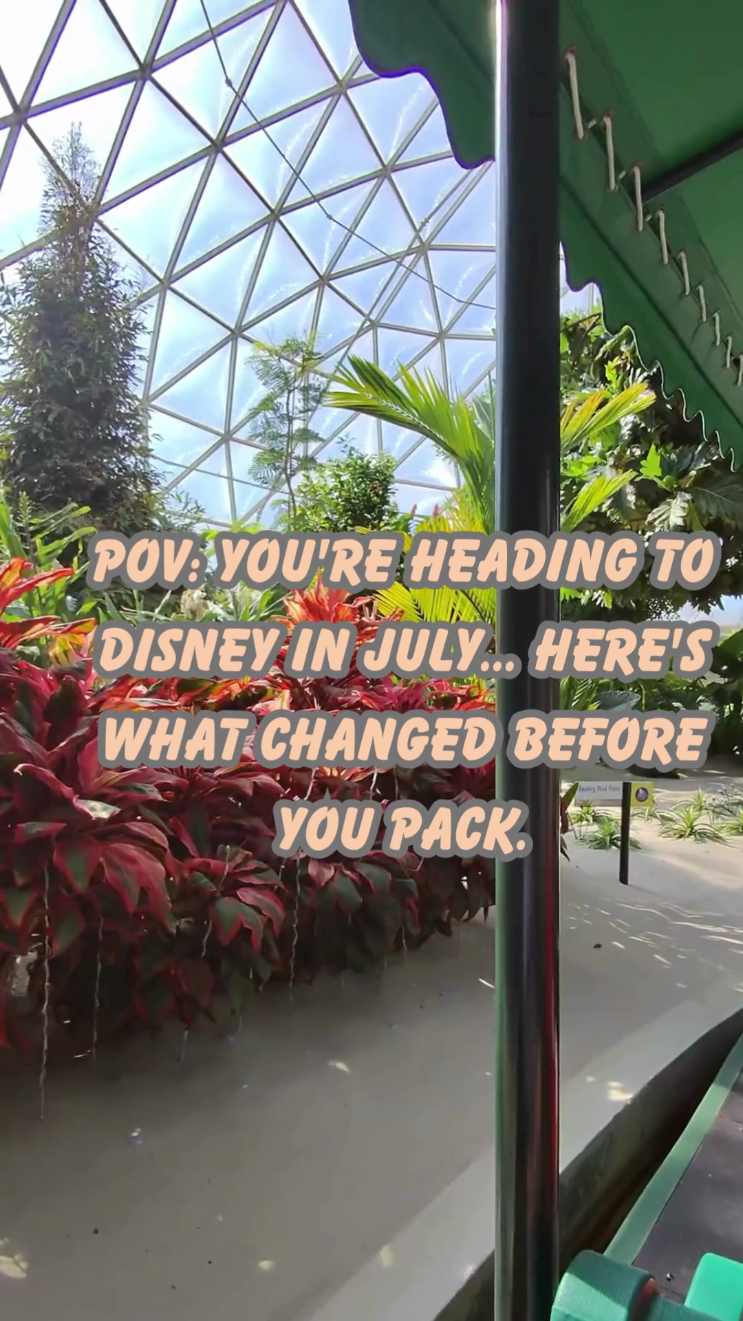 @Billy | Disney Dad Travels 🏰