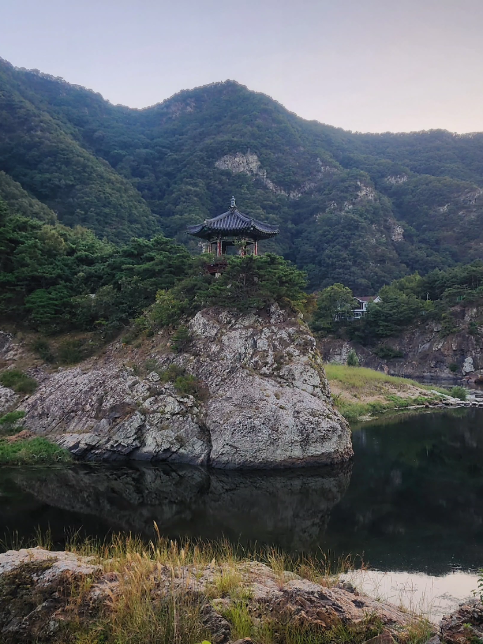 @펑크