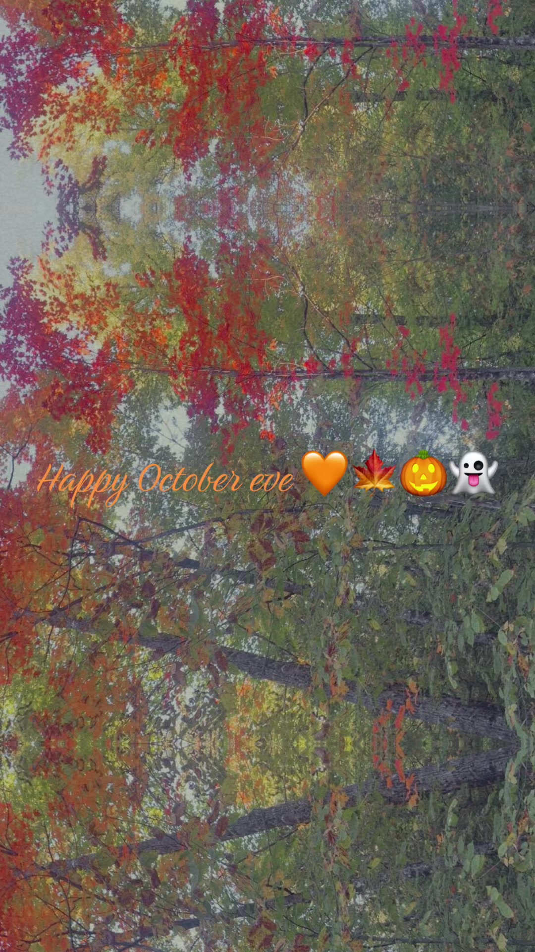 @Andrea 🌸