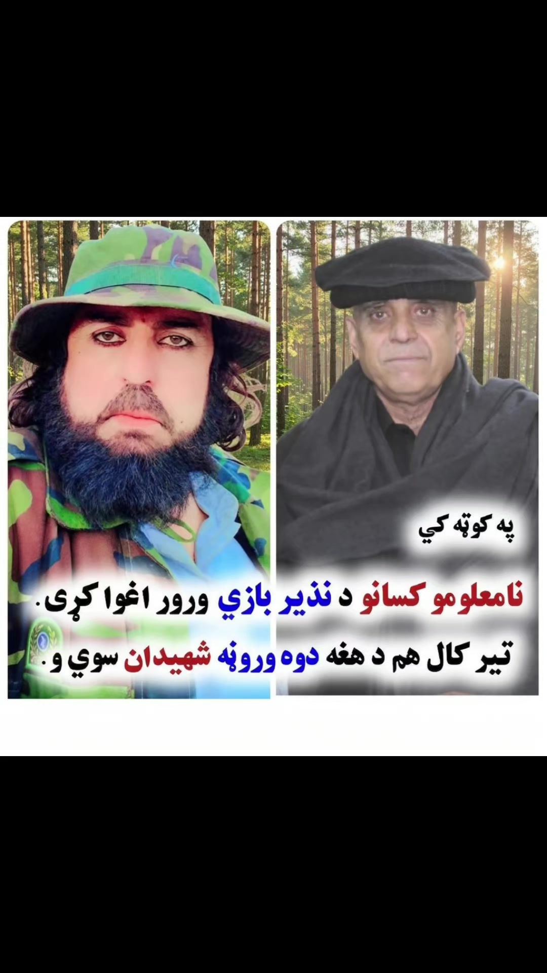 @zamanjalalzai