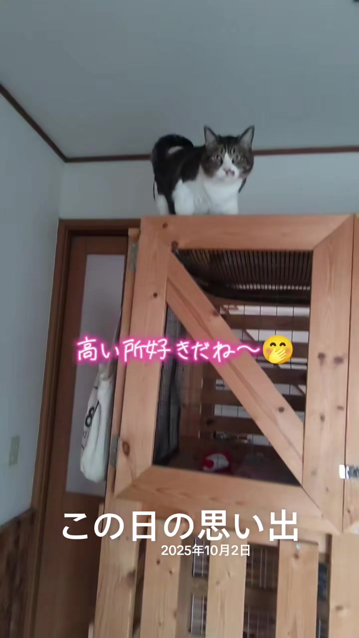 @ANIMAL♡M