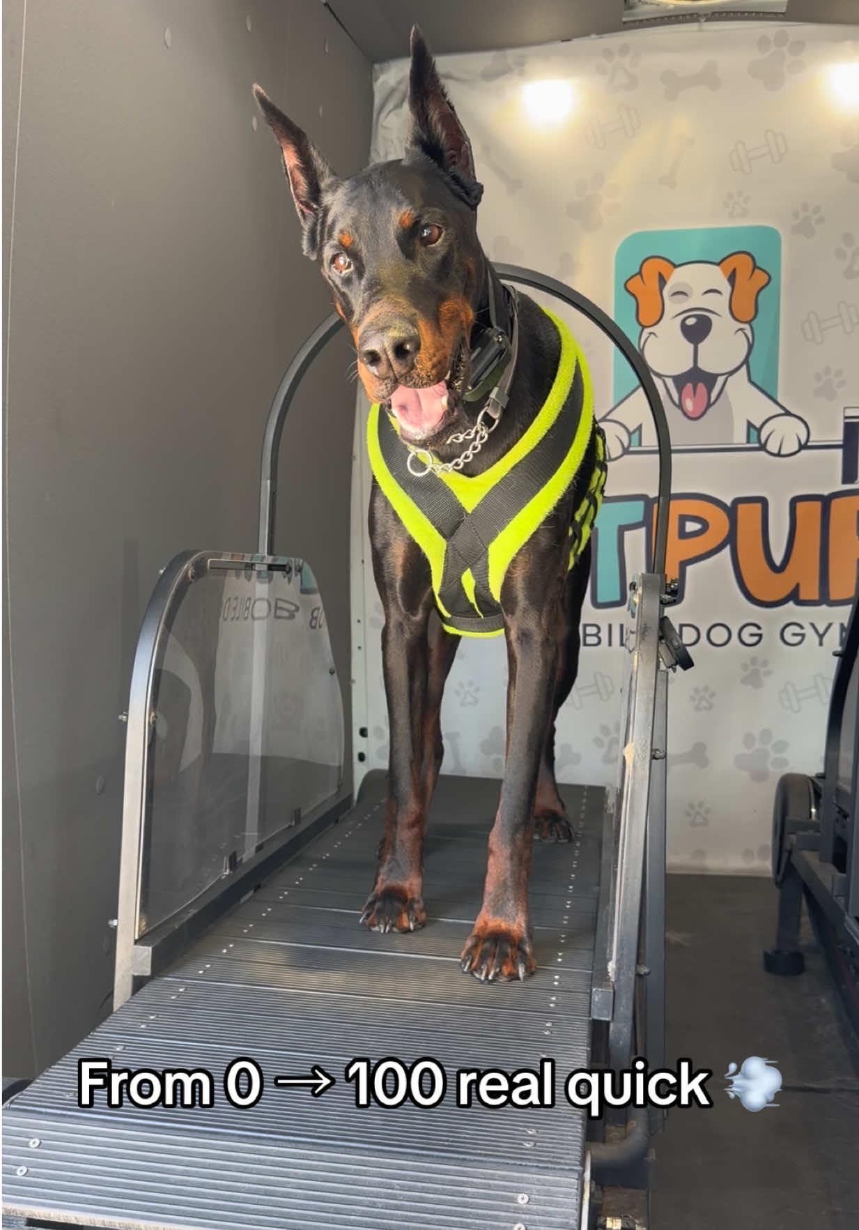 @FITPUP Mobile Dog Gym