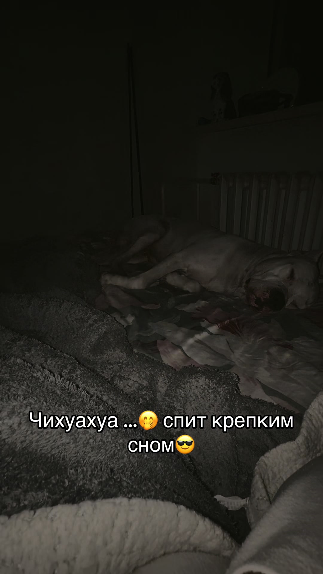 @_kumu0