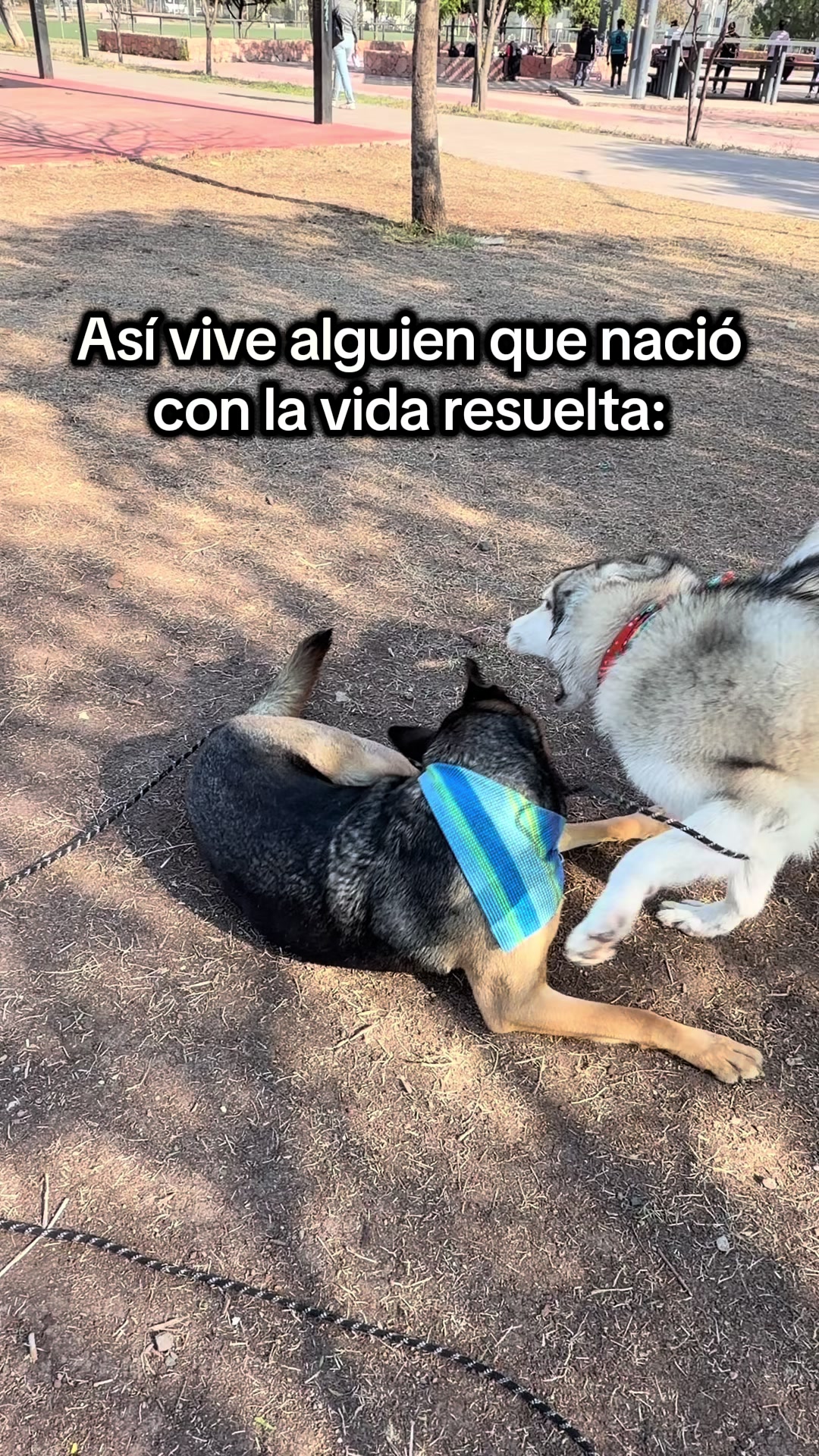 @KZ