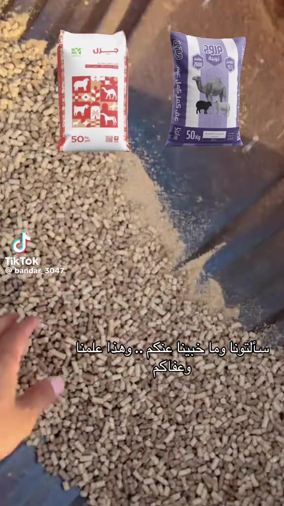 @mohamed_ksa0