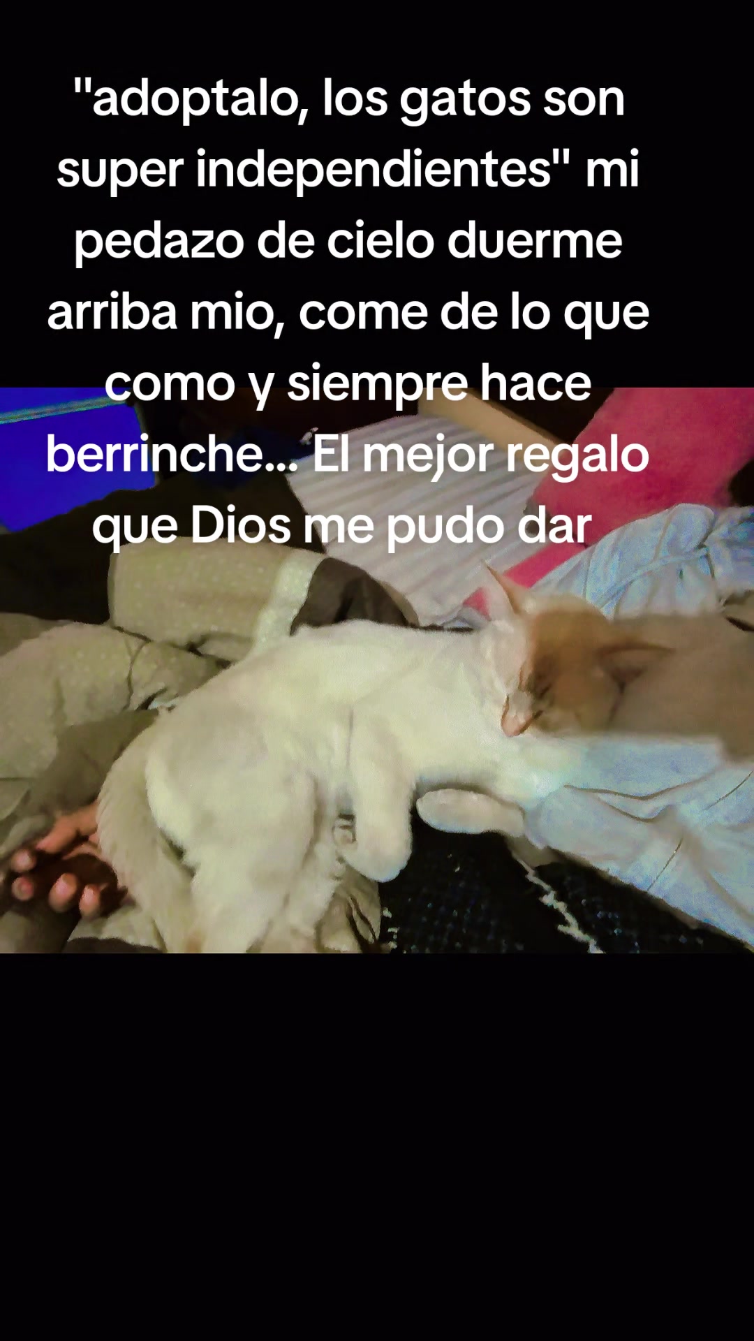 @Adri Anaya