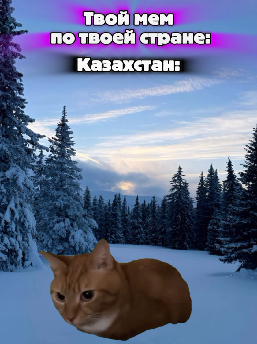 @MisterCat