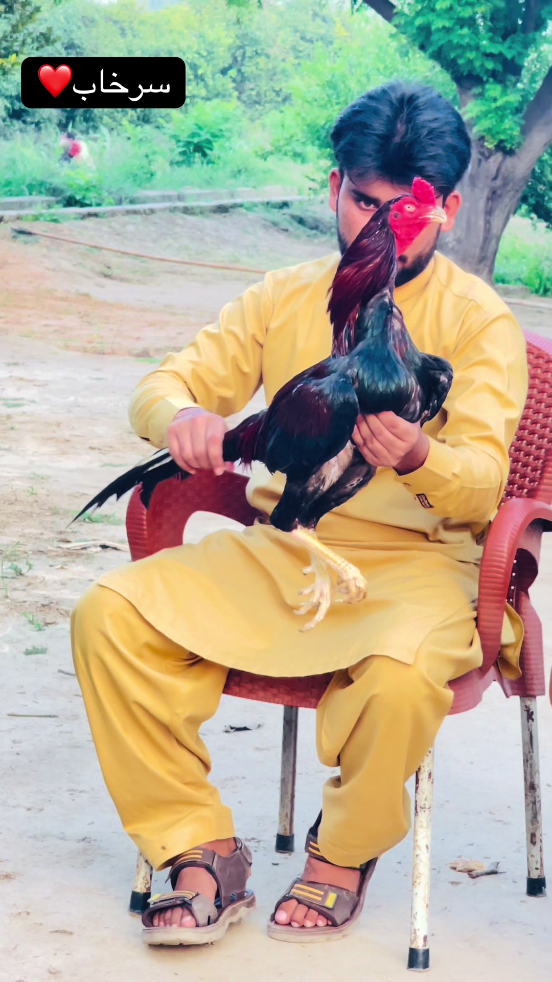 @اشفاق چوہدری 🌺
