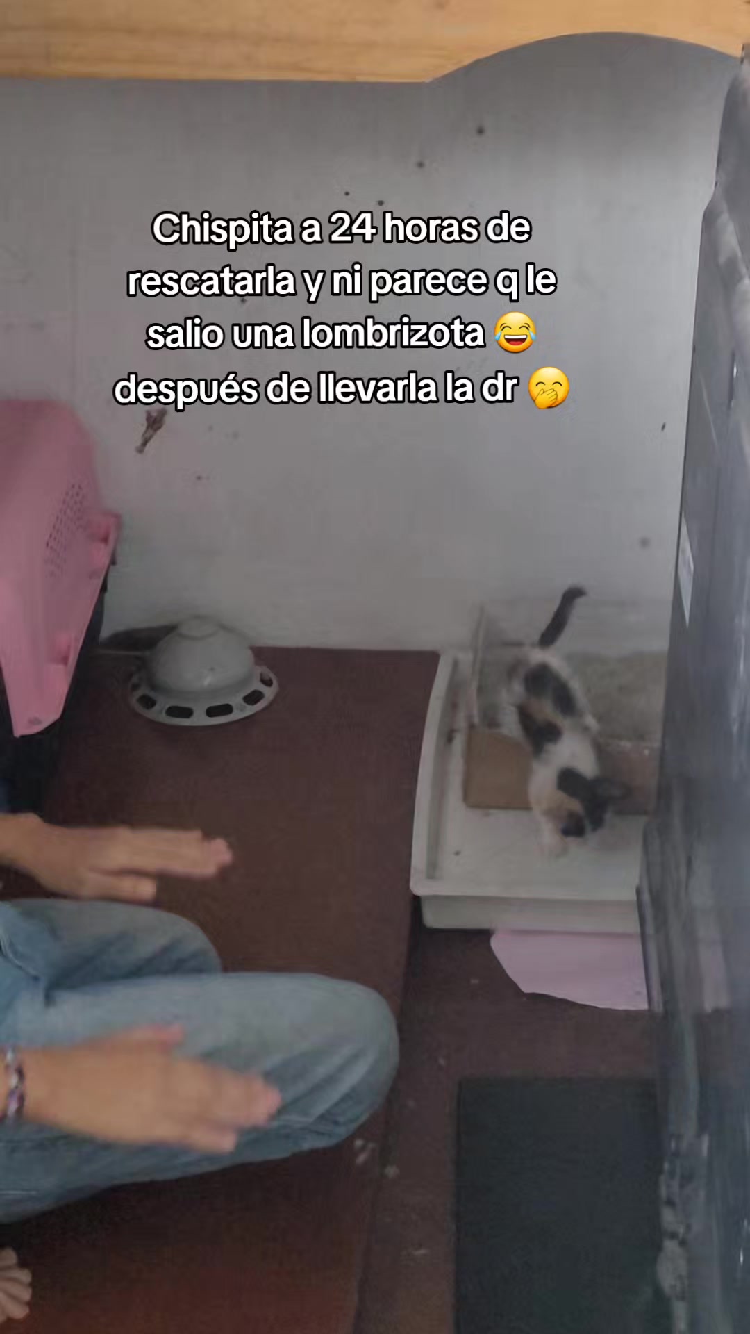 @𝕃𝕚𝕤𝕤 ℝ𝕖yes🇸🇻