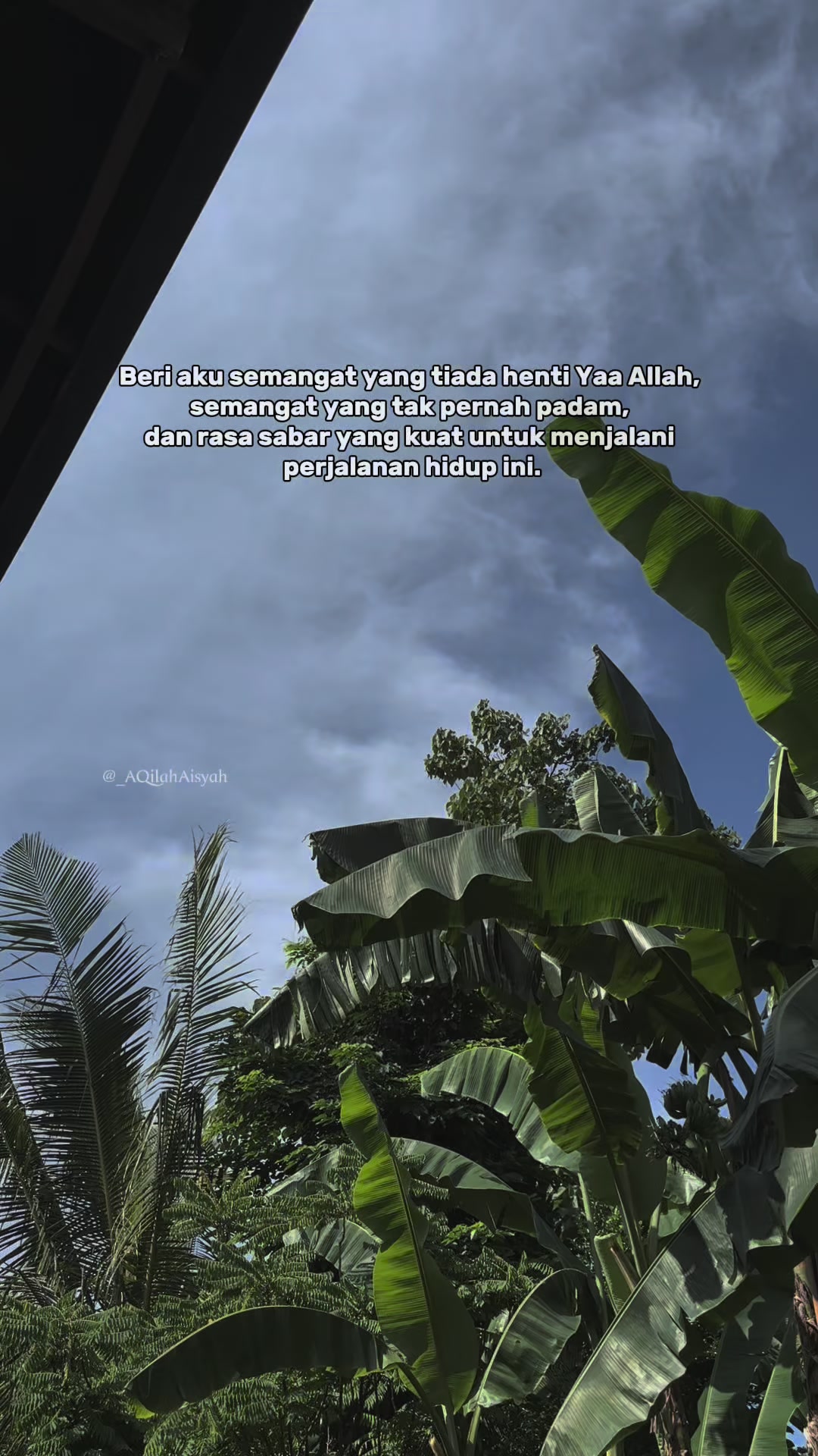 @AQilah Aisyah WT