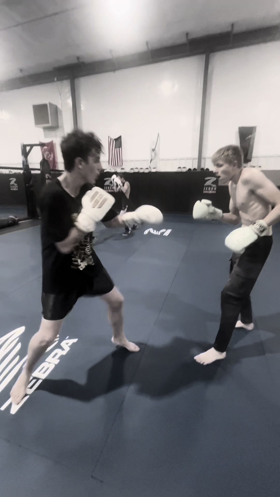 @chancefightz