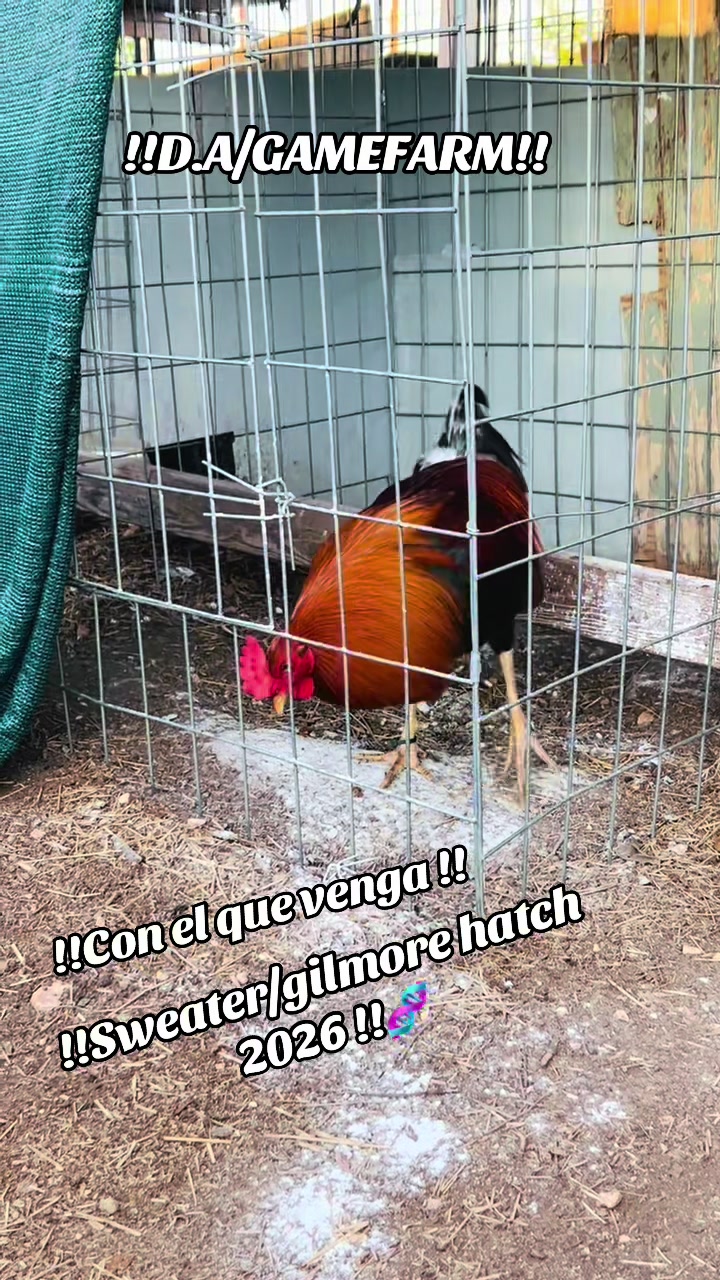 @DAgamefarm