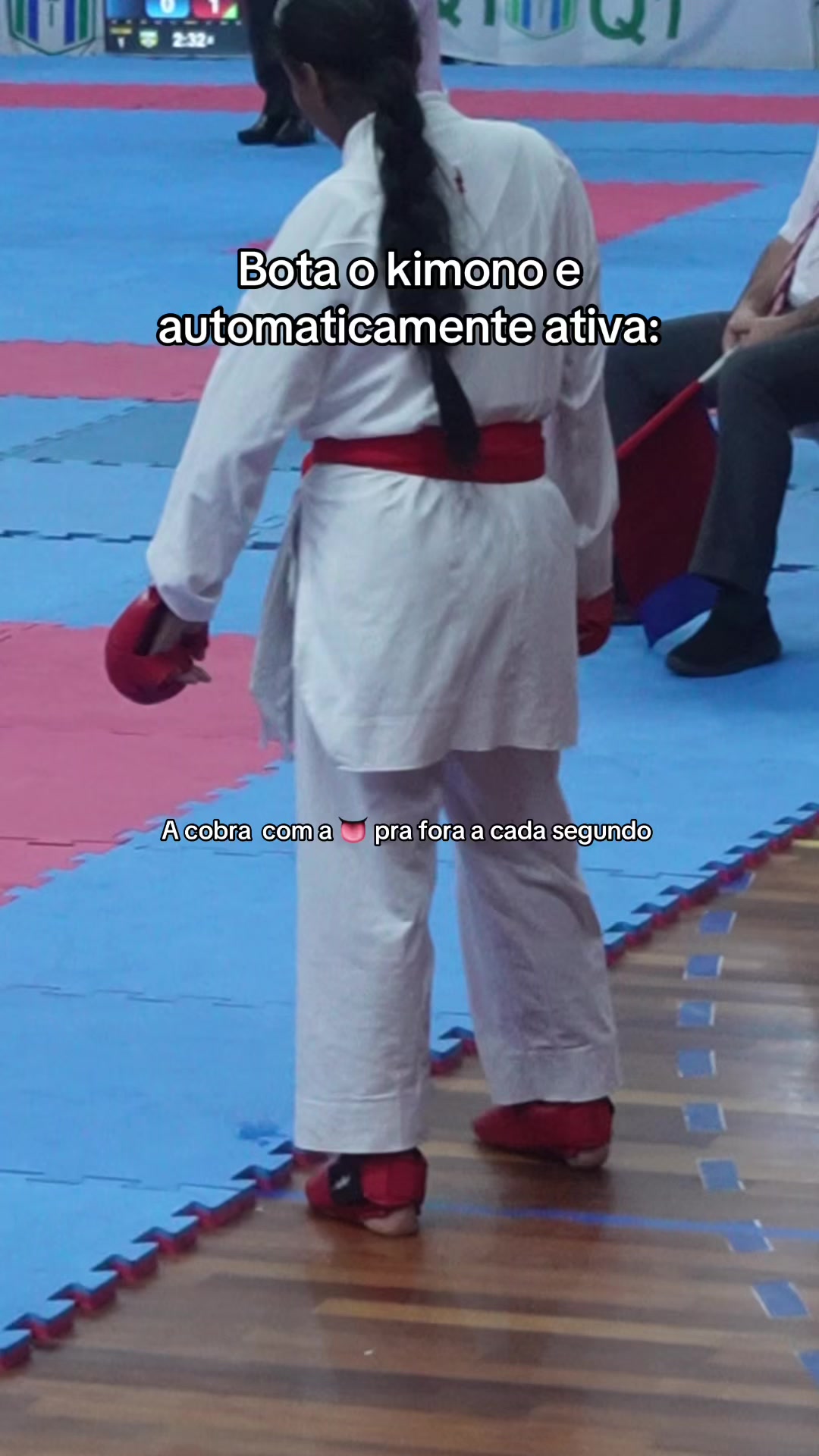 @diario.da.karateca