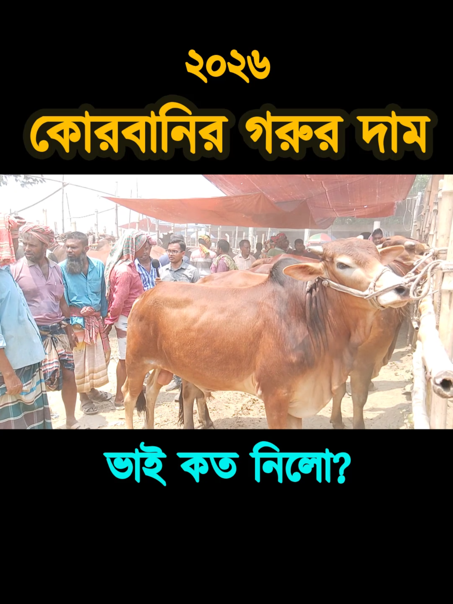 @Nayeem Islam