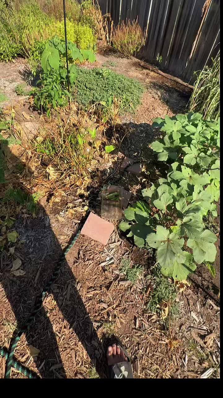 @themagicvalleygardener
