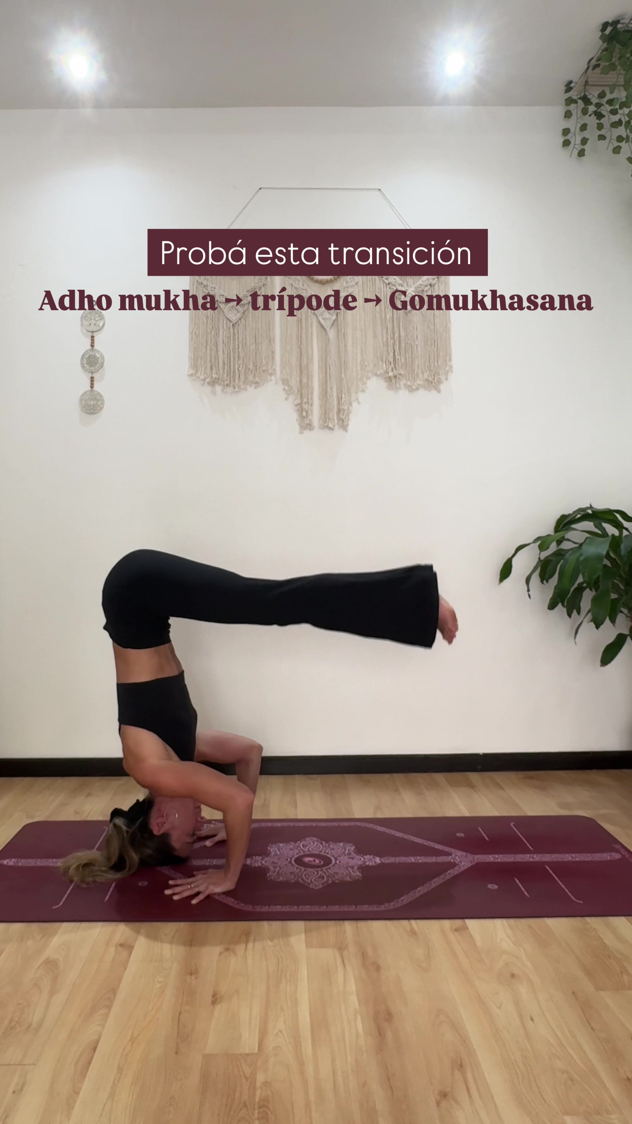 @tituonthemat.yoga