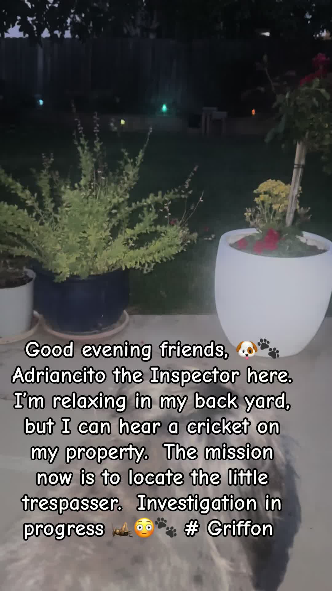 @LifeWithAdriancito