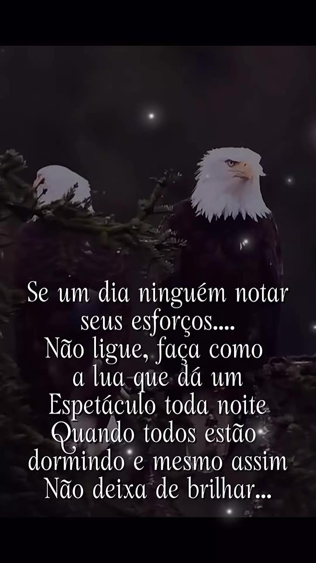 @Katy baiana 🤗🥰