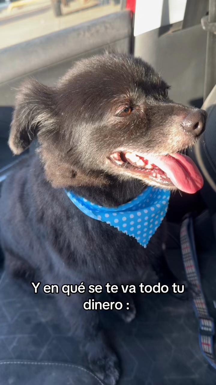 @Michelle Diaz B