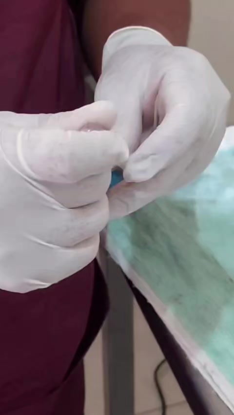 @Veterinaria Dr. C.A.M. Vet 🐩