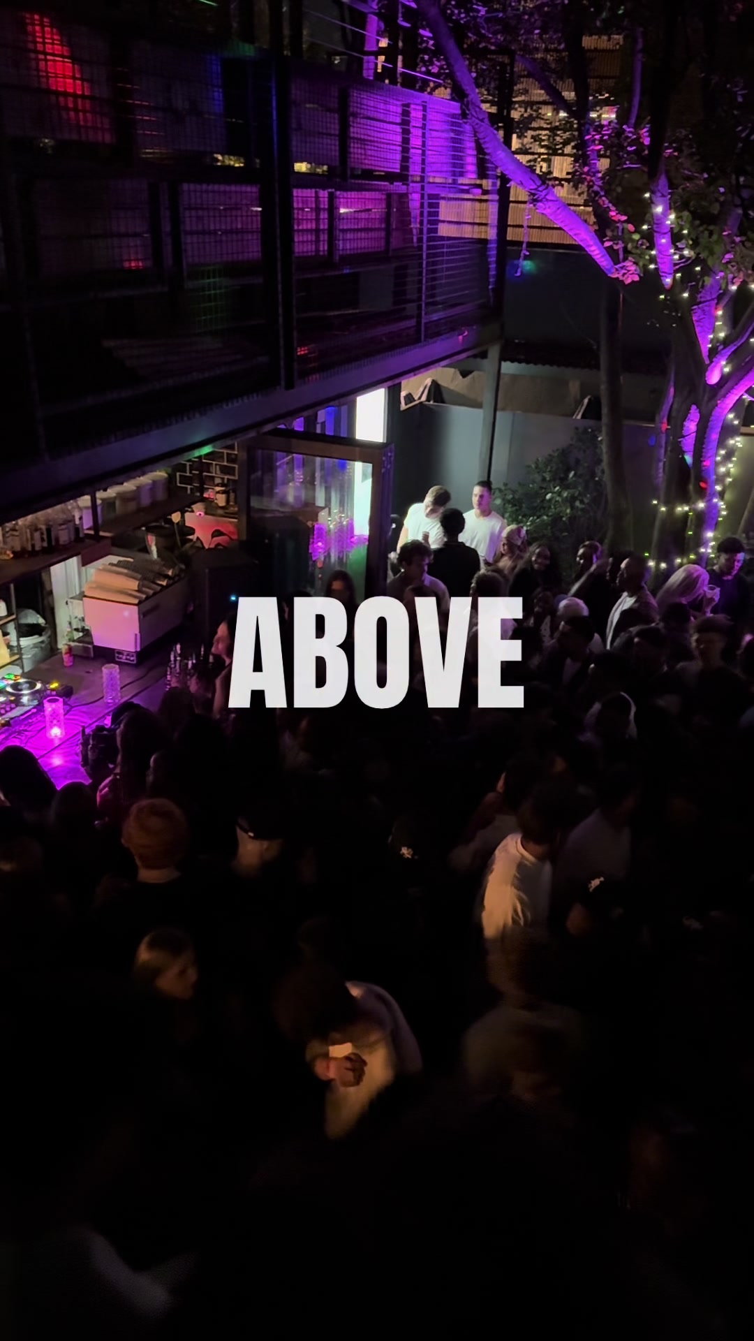 @Above Brooklyn
