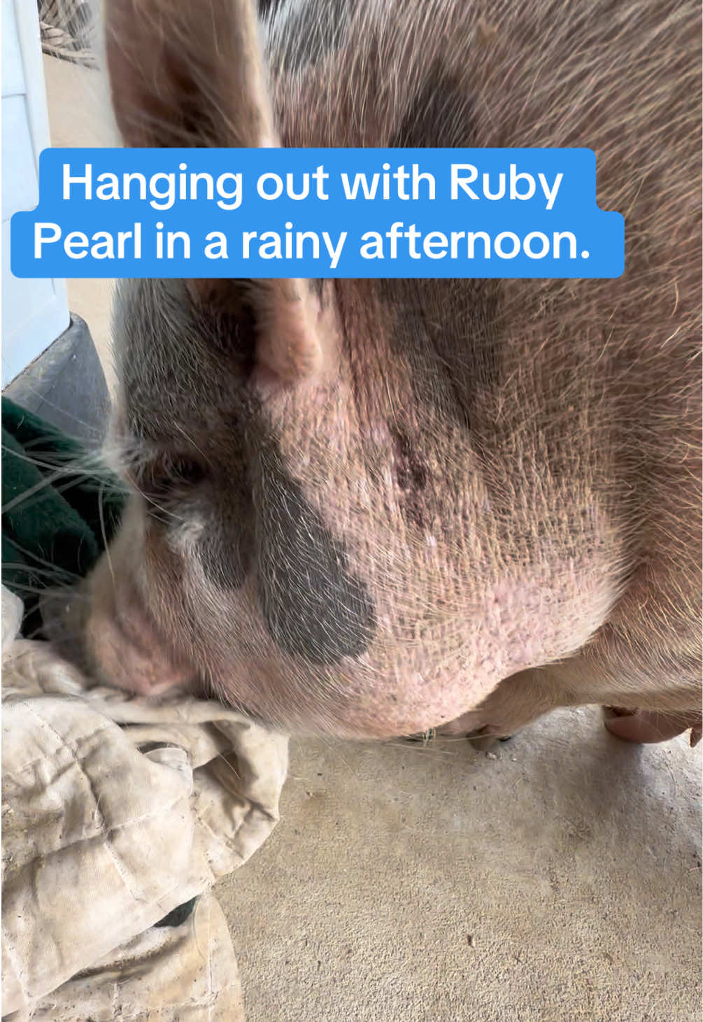 @Ruby Pearl