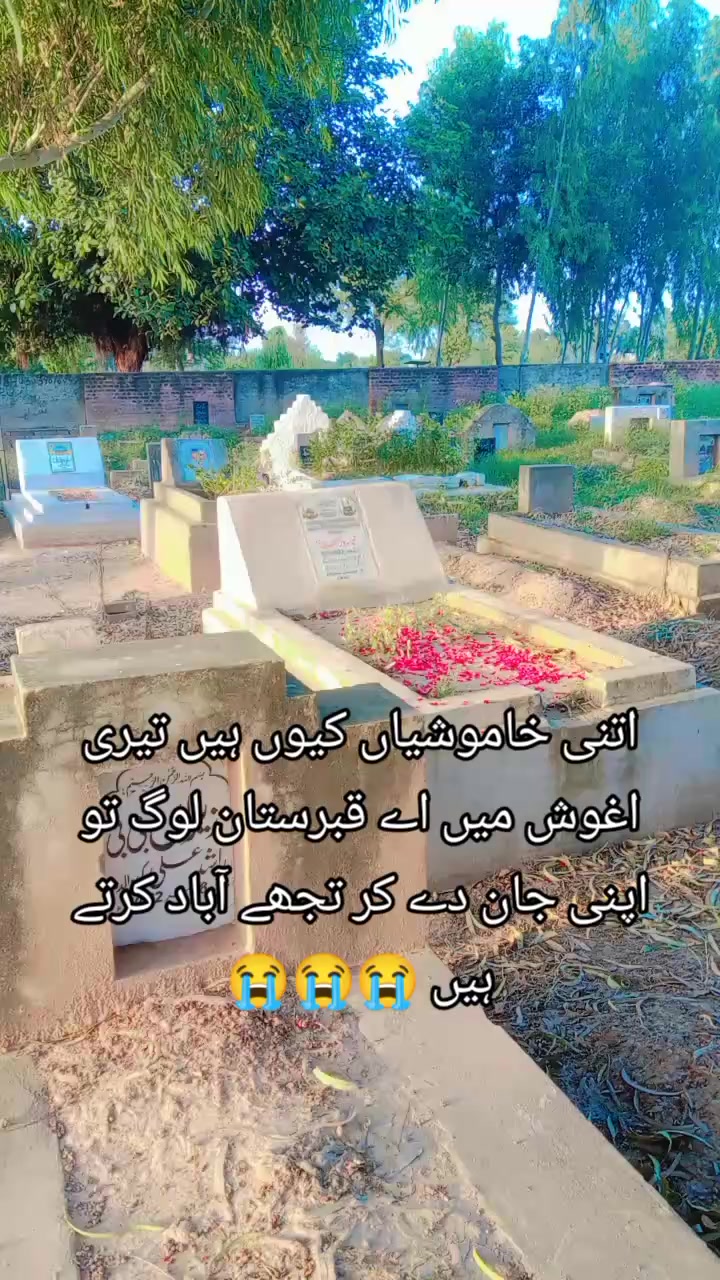 @Mohammad ayaan🌹❤️