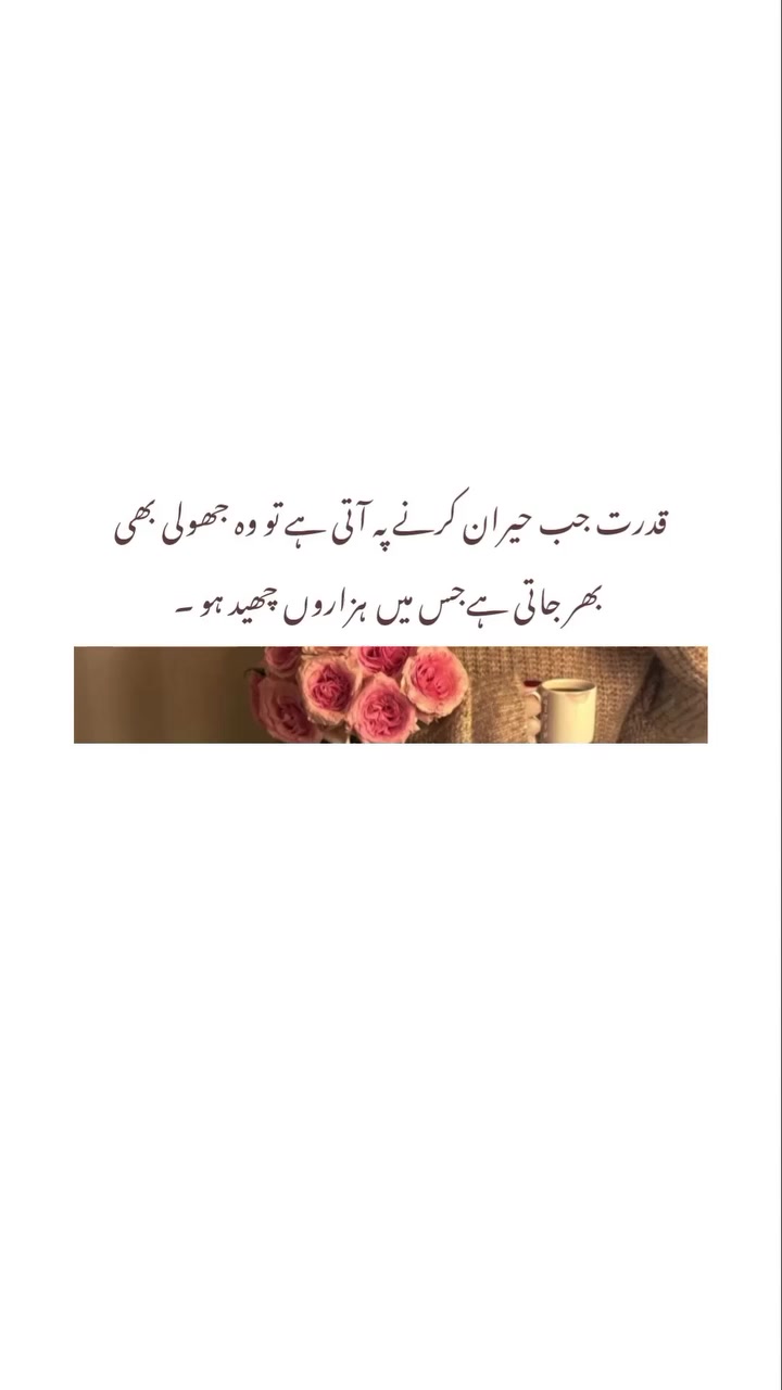 @Mr BiLAL...❤️