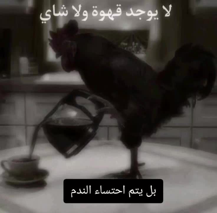 @شوكه مطبخ