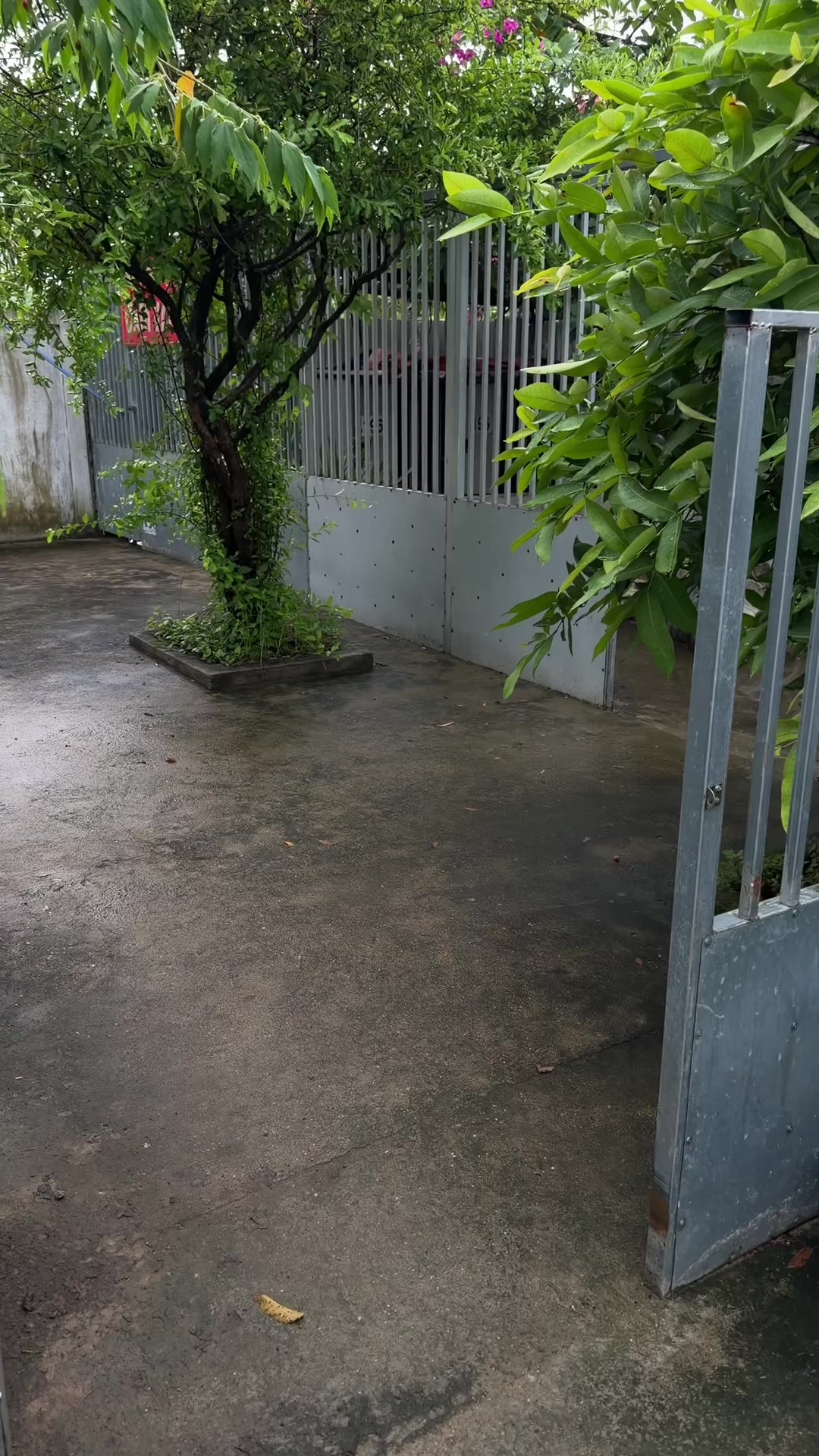 @Quốc khánh